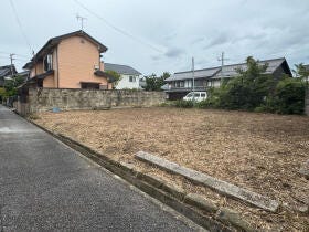 概観画像