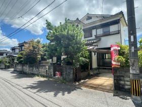 概観画像