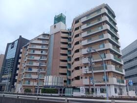 概観画像