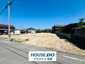 概観画像