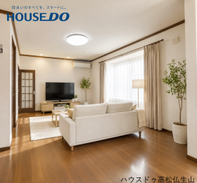 概観画像