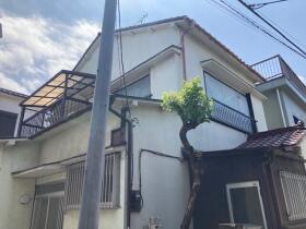 概観画像