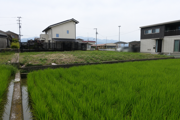 ※この画像はAI処理にて加工した写真です。