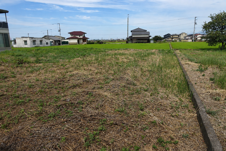※この画像はAI処理にて加工した写真です。