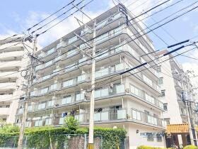 概観画像