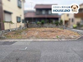 概観画像