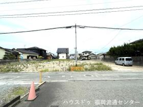 概観画像