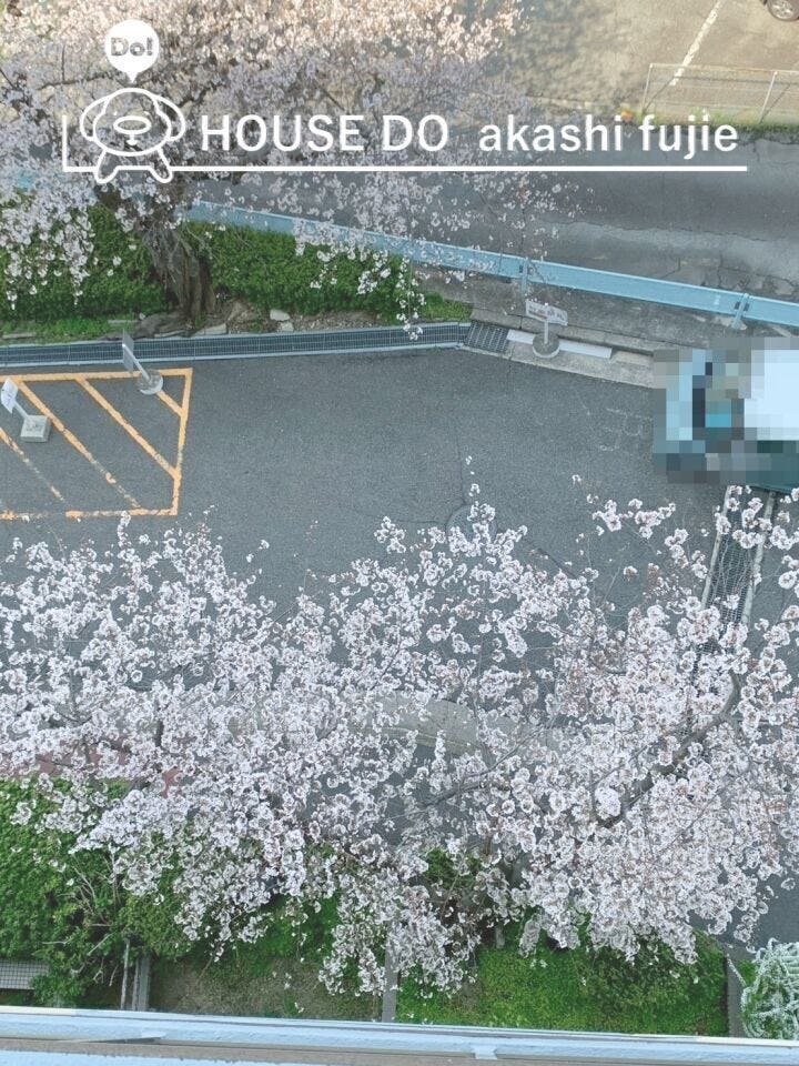 2026.4.3撮影
家族の笑顔が咲く、桜の街の住まい