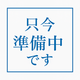 概観画像