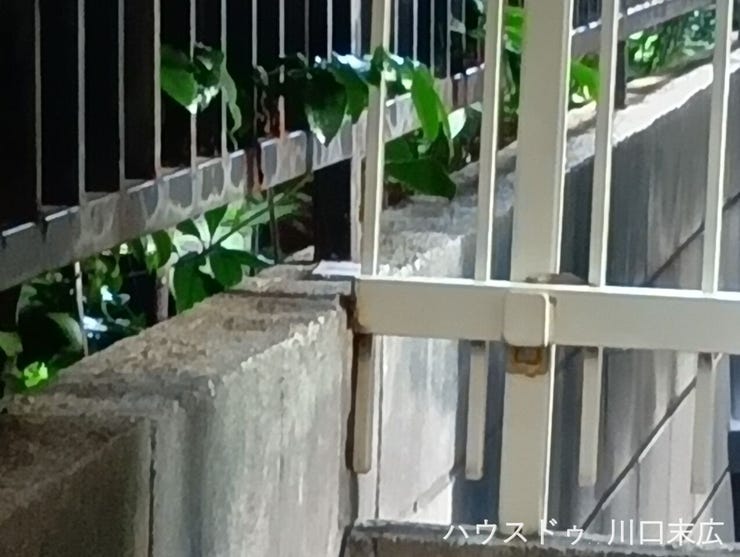境界