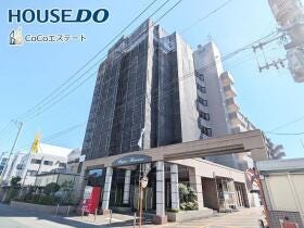 概観画像