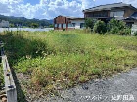 概観画像