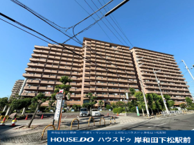 概観画像