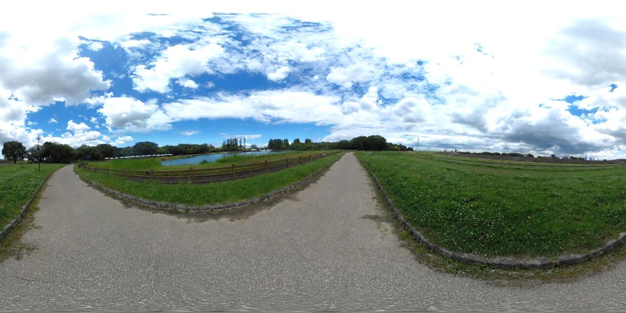 庄内緑地公園