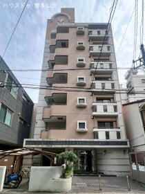 概観画像