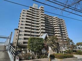 概観画像