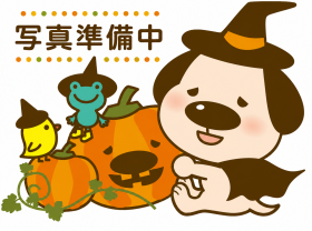 概観画像