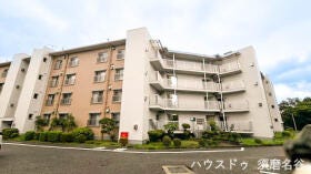 概観画像