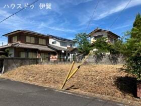 概観画像