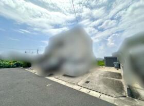 概観画像
