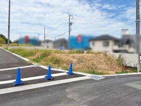 概観画像
