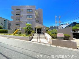 概観画像