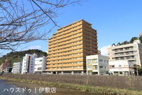 概観画像