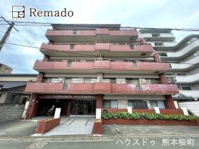 概観画像