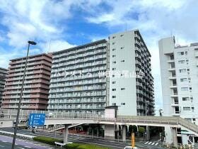 概観画像