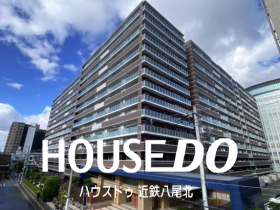 概観画像