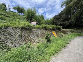 概観画像