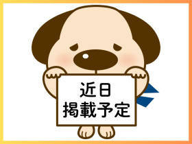 概観画像