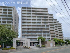 概観画像