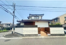 概観画像