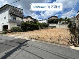 概観画像