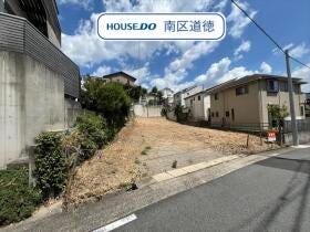 概観画像