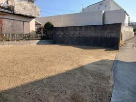 概観画像