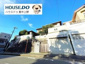 概観画像