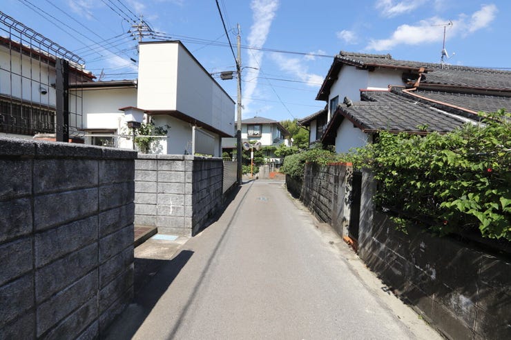2026年6月29日撮影