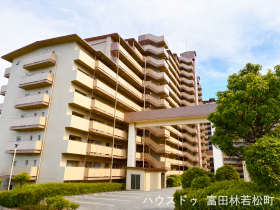 概観画像