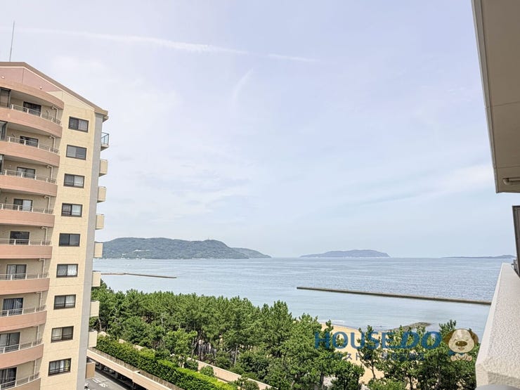 青空、海、砂浜、木々と自然が感じられるロケーションです