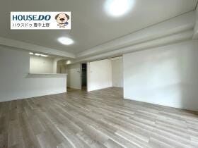 概観画像