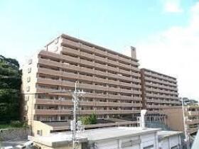 概観画像