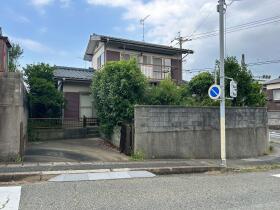 概観画像