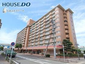 概観画像