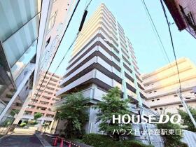 概観画像