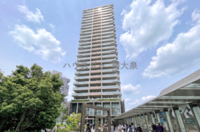 概観画像