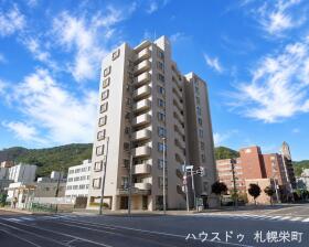 概観画像