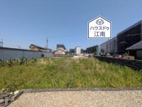 概観画像