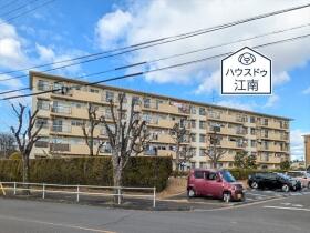 概観画像